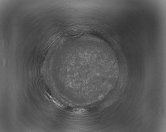 X0000085060288200703261213