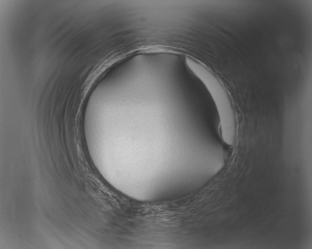 X0000085060289200703261212
