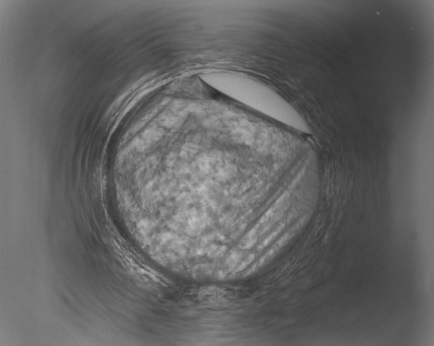 X0000085060290200703261212