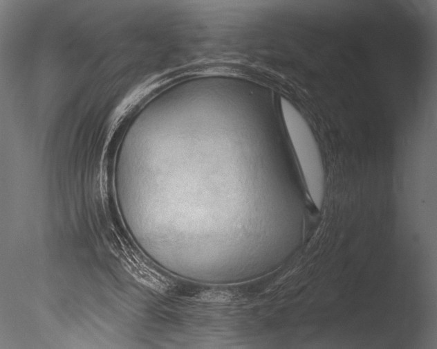 X0000085060294200703261212