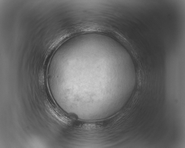 X0000085060298200703261212
