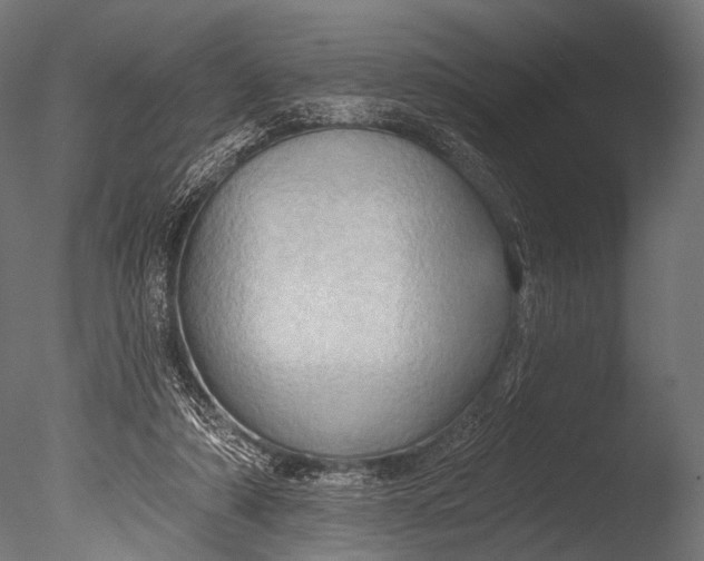 X0000085060306200703261212