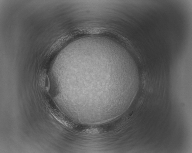X0000085060307200703261212