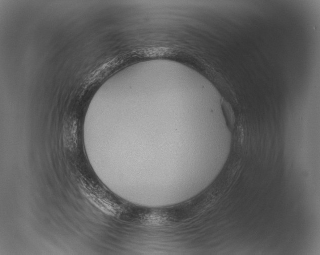 X0000085060308200703261212