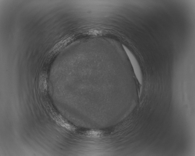 X0000085060313200703261212