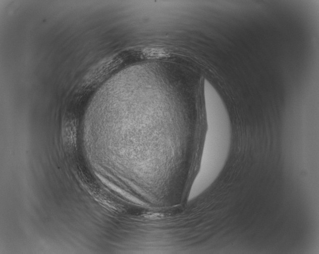X0000085060315200703261212