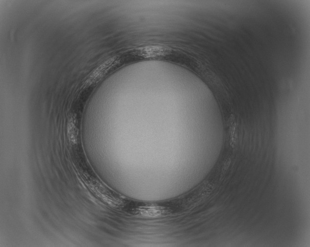 X0000085060316200703261212