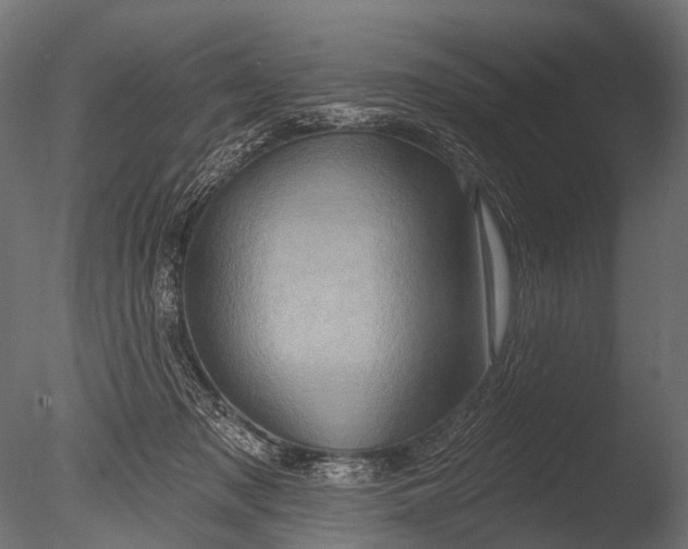 X0000085060317200703261212