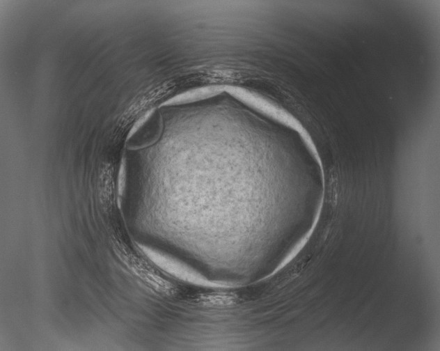 X0000085060318200703261212