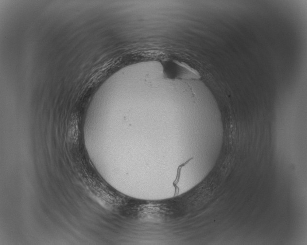 X0000085060320200703261212
