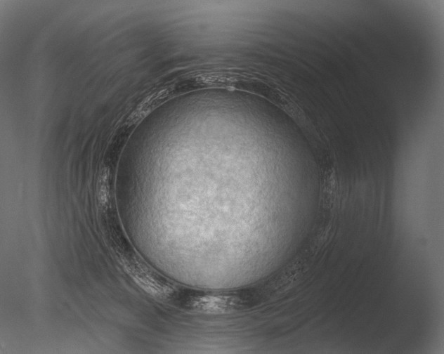 X0000085060323200703261212