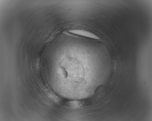X0000085060326200703261211