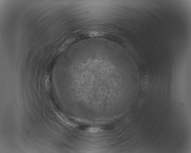 X0000085060327200703261211