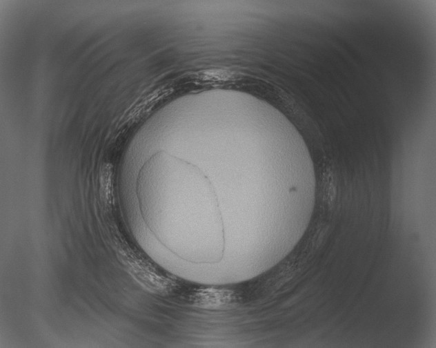 X0000085060328200703261211