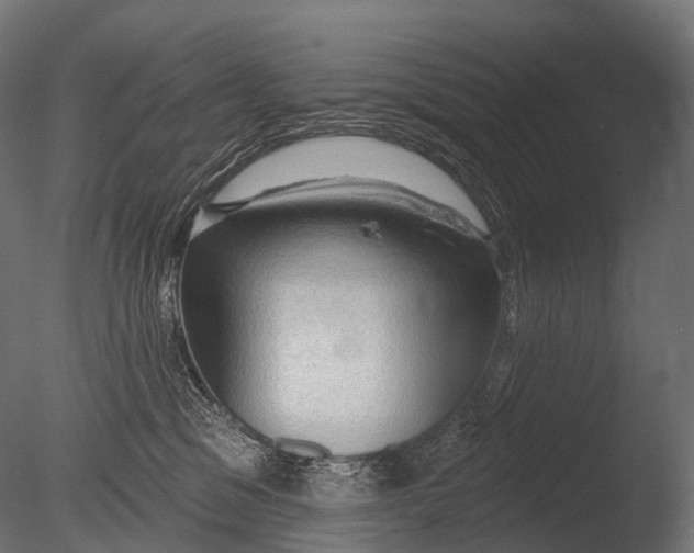 X0000085060329200703261211