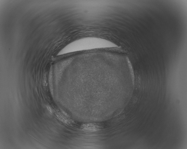 X0000085060331200703261211