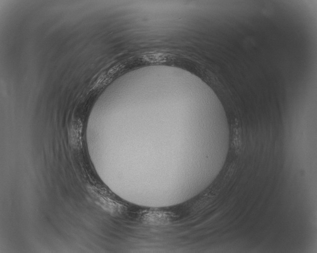 X0000085060332200703261211