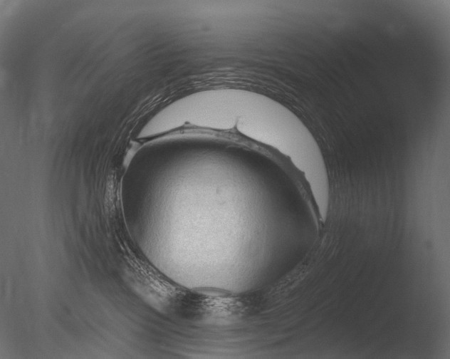 X0000085060333200703261211