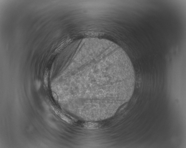 X0000085060334200703261211