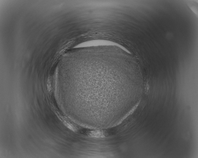 X0000085060335200703261211