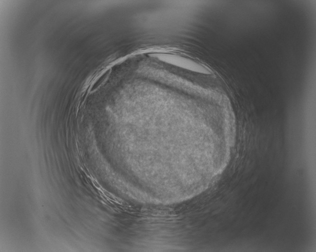 X0000085060337200703261210
