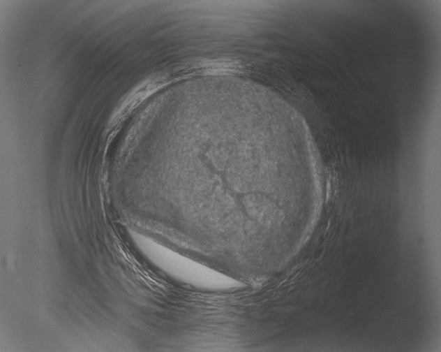 X0000085060339200703261210