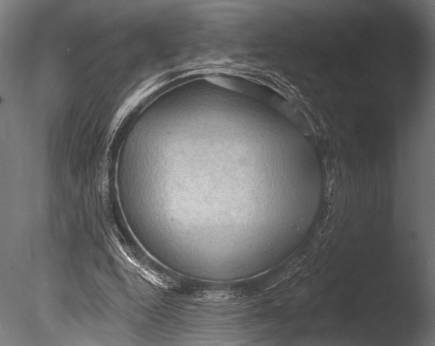 X0000085060344200703261211