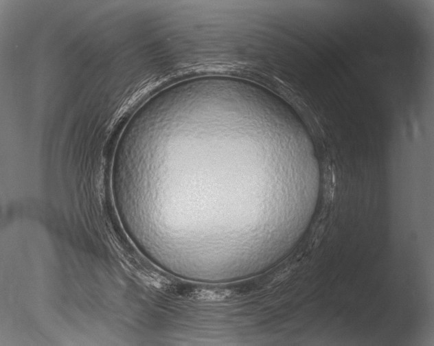 X0000085060346200703261211