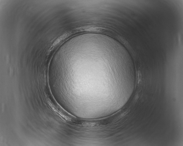 X0000085060349200703261211