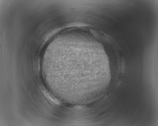 X0000085060350200703261211