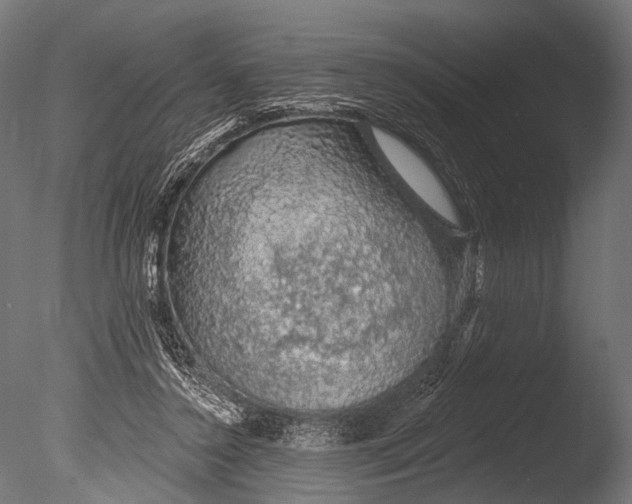 X0000085060356200703261211