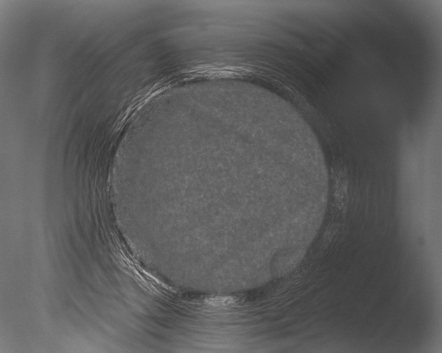 X0000085060357200703261211