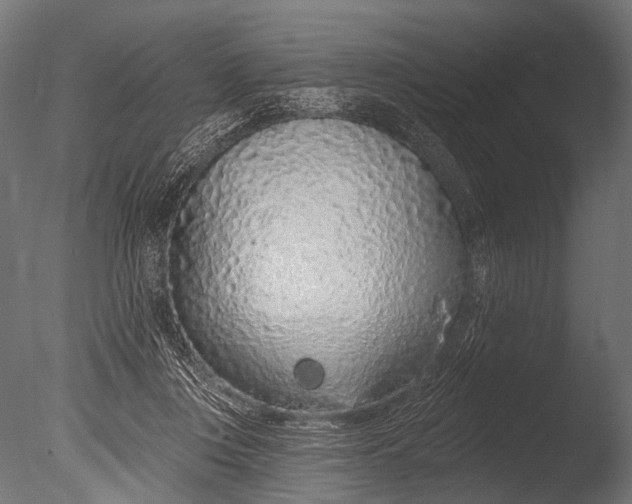 X0000085060359200703261211