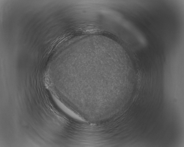 X0000085060361200703261211