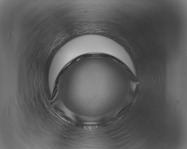X0000085060362200703261211