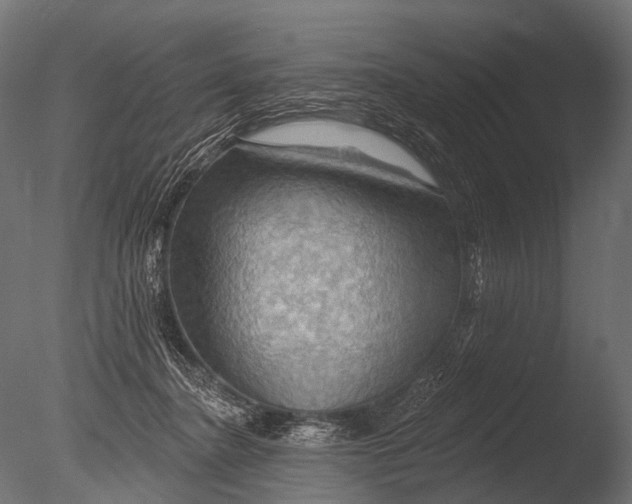 X0000085060364200703261211