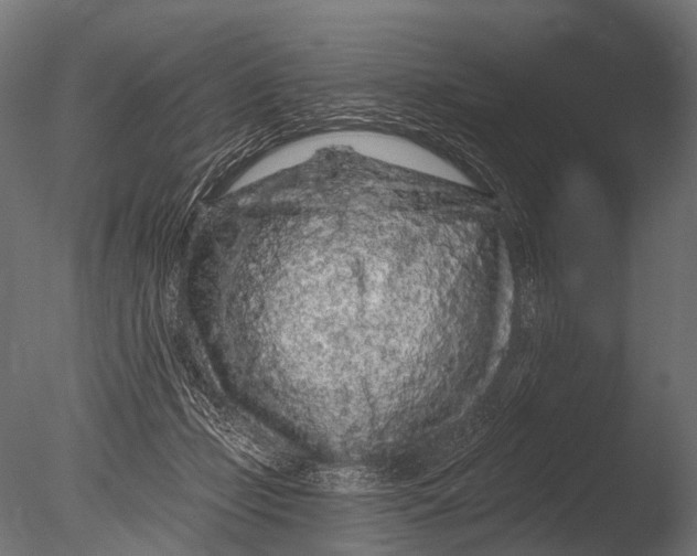 X0000085060365200703261211