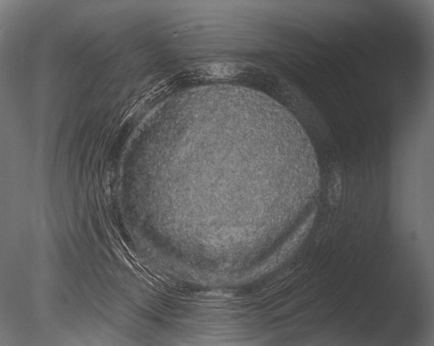 X0000085060366200703261211