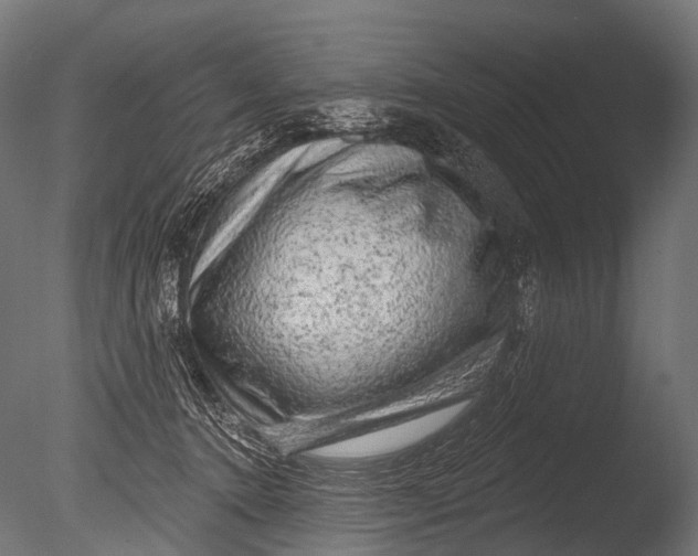 X0000085060368200703261211