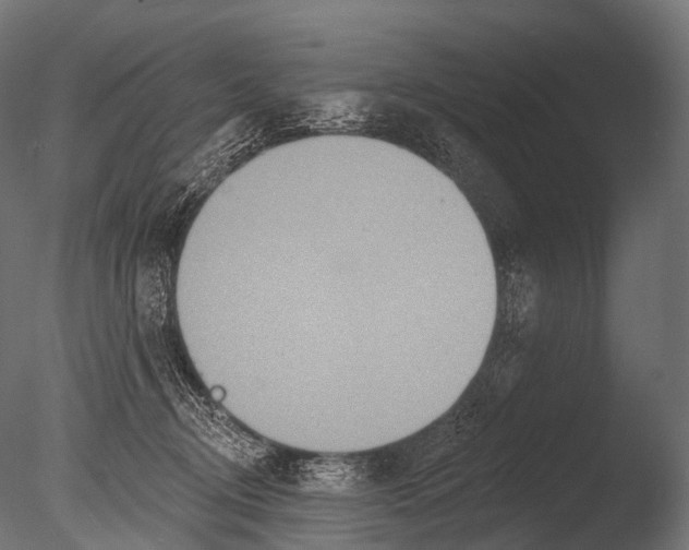 X0000085060370200703261211
