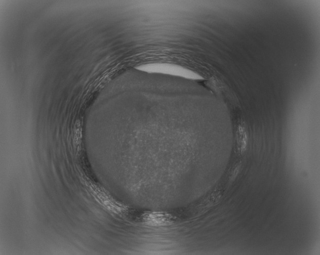 X0000085060372200703261211