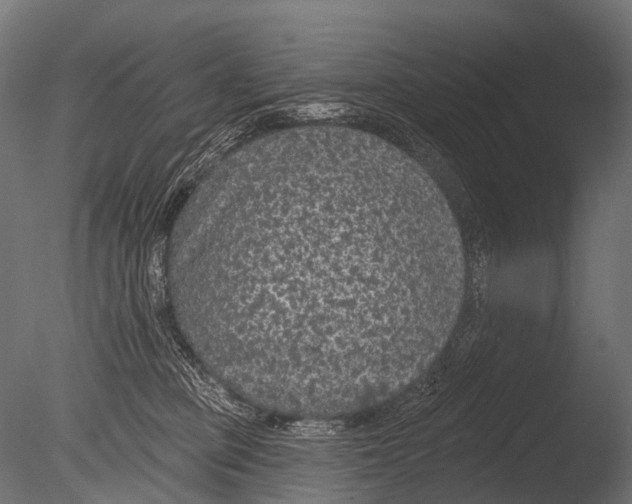 X0000085060373200703261211