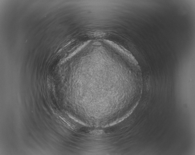 X0000085060374200703261211