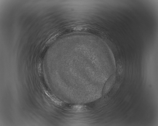 X0000085060375200703261211