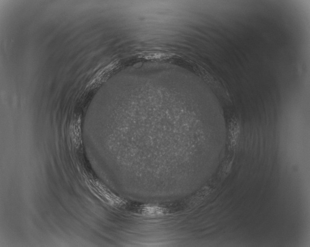 X0000085060376200703261211