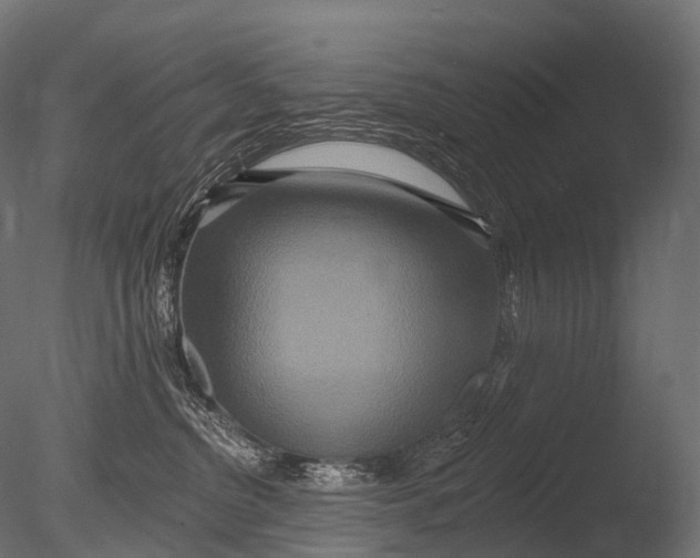 X0000085060380200703261211