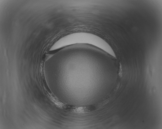 X0000085060382200703261211