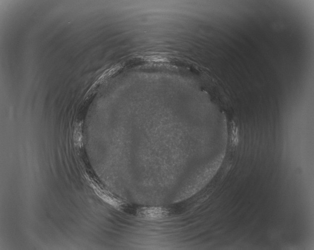X0000085060383200703261211
