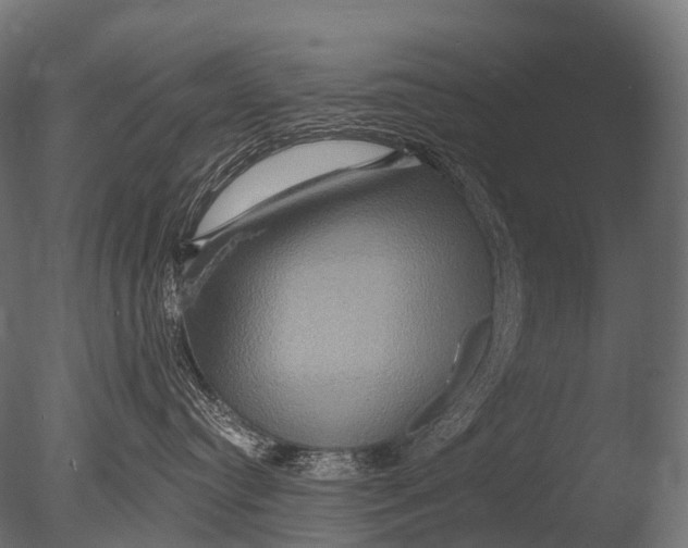 X0000085060384200703261211