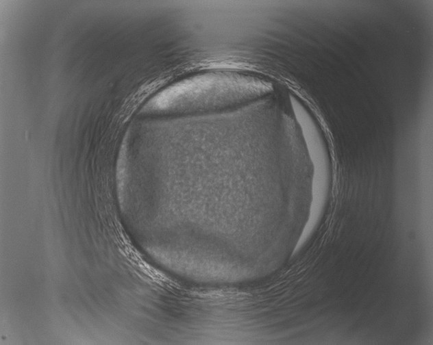 X0000085060385200703261210